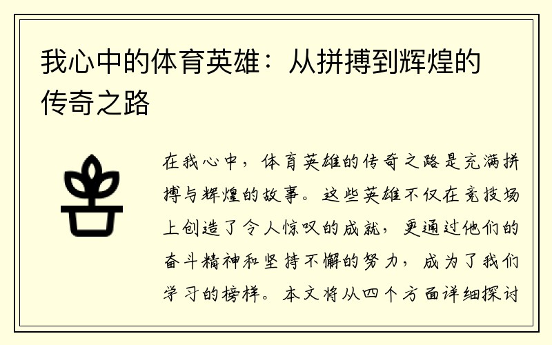 我心中的体育英雄：从拼搏到辉煌的传奇之路